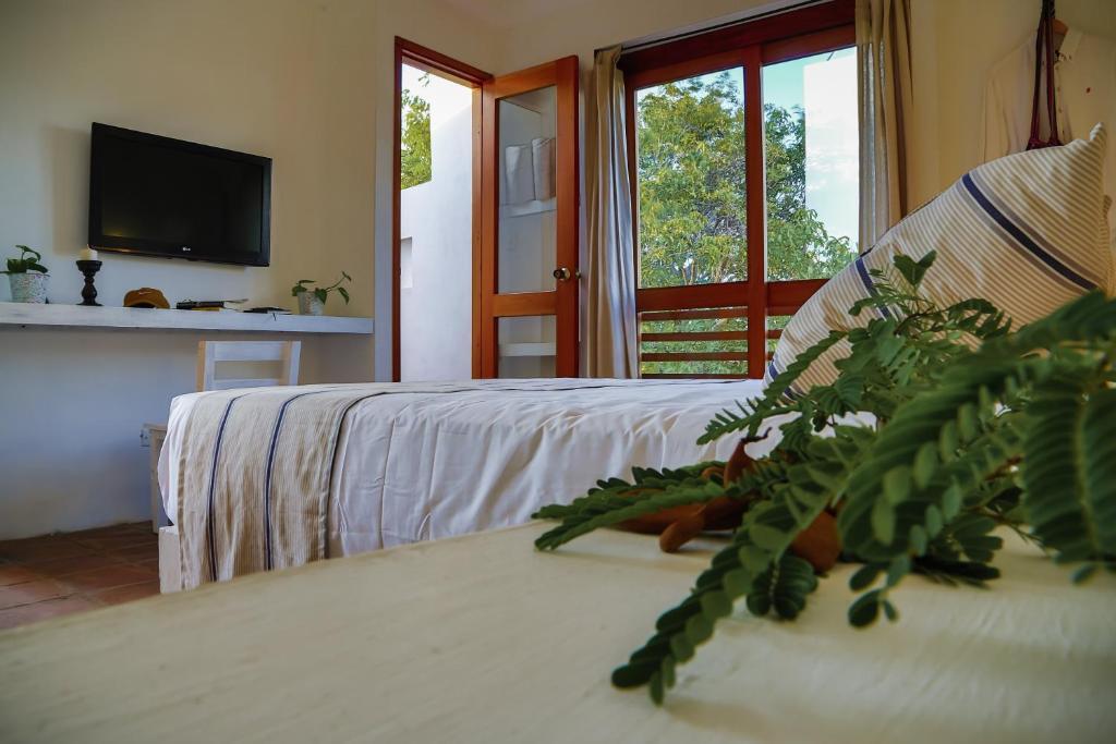 La Casa Del Arbol Hotel Boutique By Xarm Hotels Santa Marta  Room photo