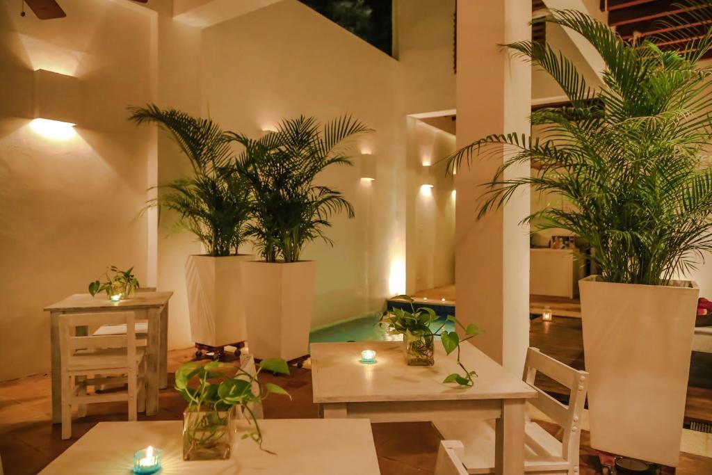 La Casa Del Arbol Hotel Boutique By Xarm Hotels Santa Marta  Exterior photo