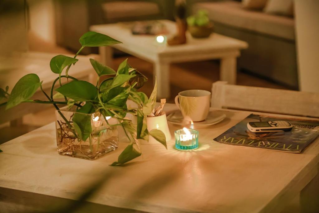 La Casa Del Arbol Hotel Boutique By Xarm Hotels Santa Marta  Exterior photo